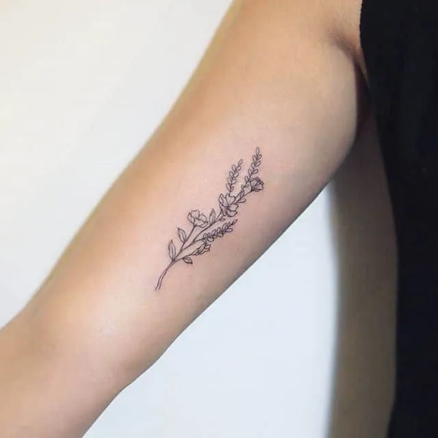Detailed Fine Line